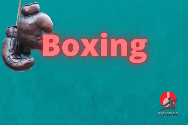 boxing-7-rank-adult-martial-art