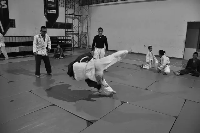 judo-Martial-arts-Short Guys