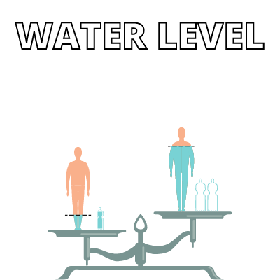 Water level of the body