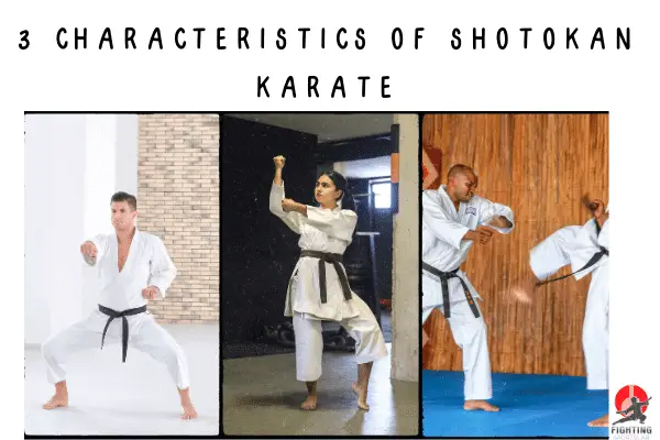 3 characteristics of Shotokan Karate