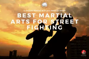 Top 5 Best Martial Art For Street Fights(Final Rank!) - Fightingsportslab