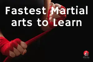 Top 4 Of The Fastest Martial Art To Learn - Fightingsportslab